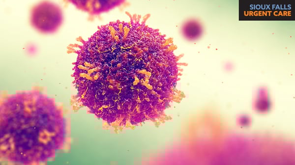 All About the Measles