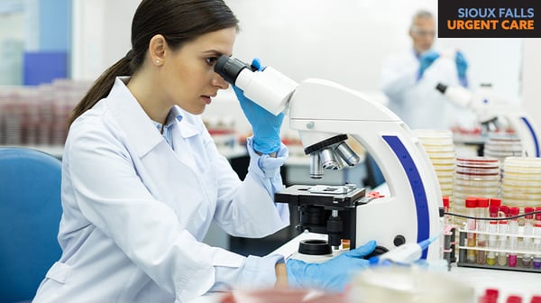 Your Guide to Common Medical Lab Tests & What They Measure